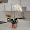 2ft. Artificial Orchid Arrangement in Handmade Mexican Talavera Ceramic Planter